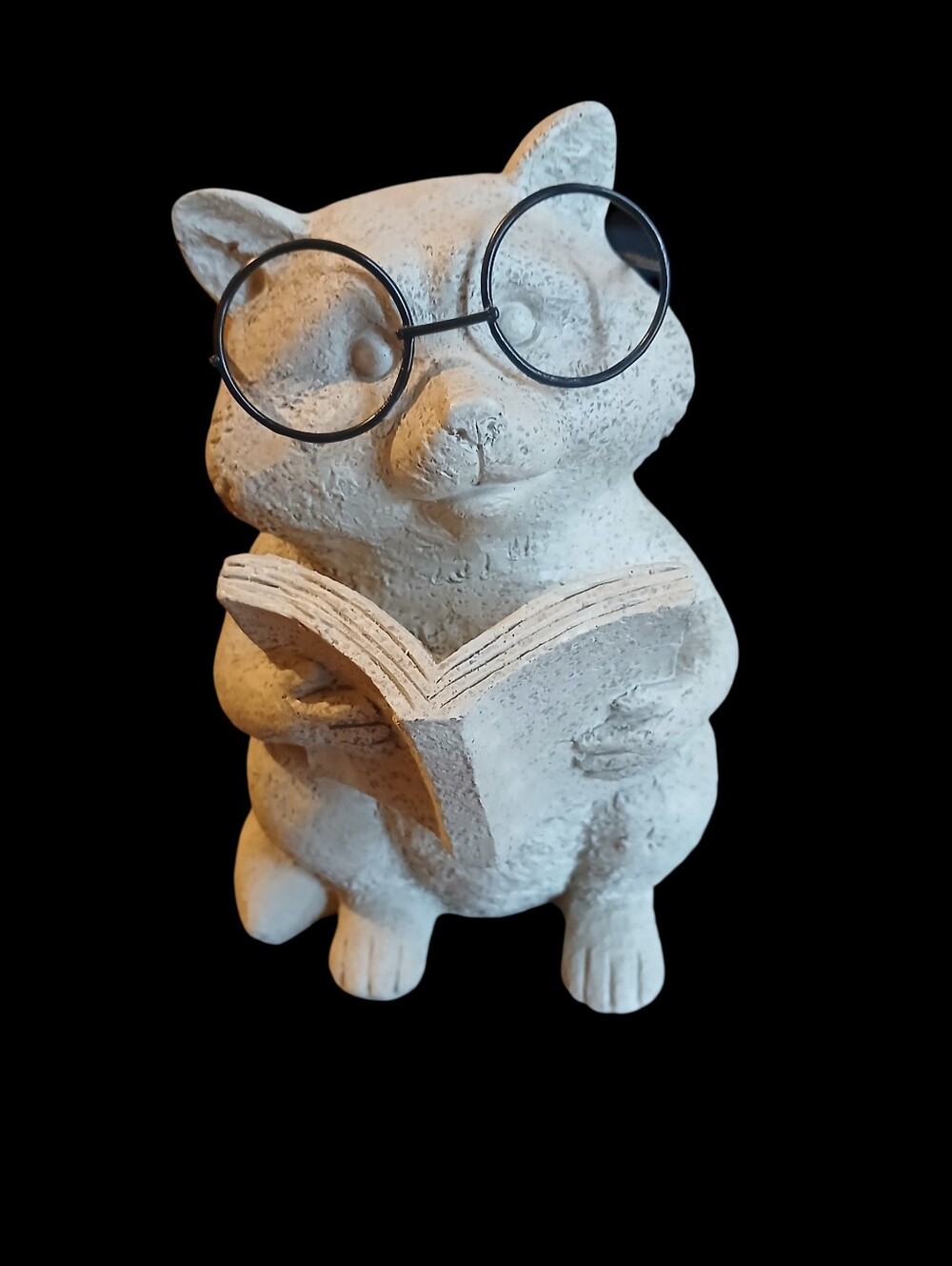 Stone-Textured Raccoon Reading A Book While Wearing Glasses